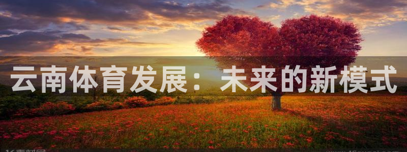 意昂体育4平台APP：云南体育发展：未来的新模式 