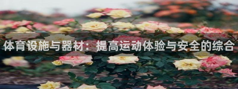 意昂体育4平台注册：体育设施与器材：提高运动体验与安