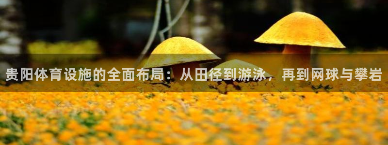 意昂体育4联系电话：贵阳体育设施的全面布局：从田径到