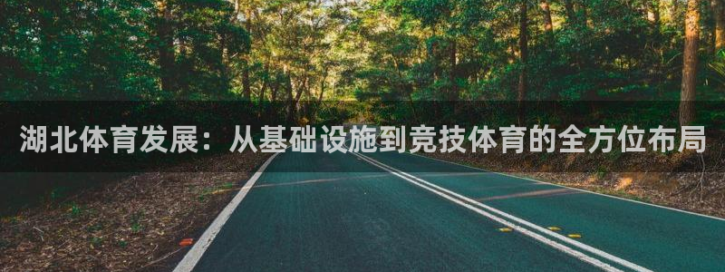 意昂体育4招商电话：湖北体育发展：从基础设施到竞技体