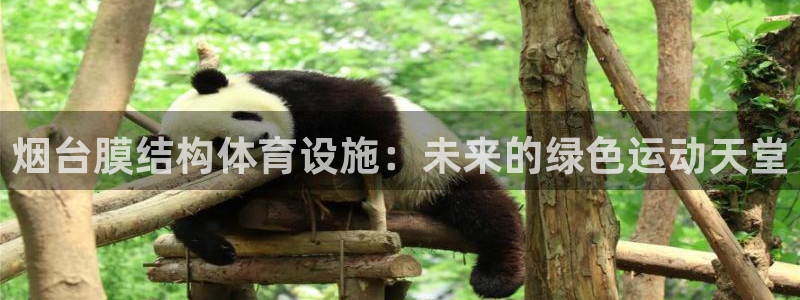 意昂4集团官网首页网址