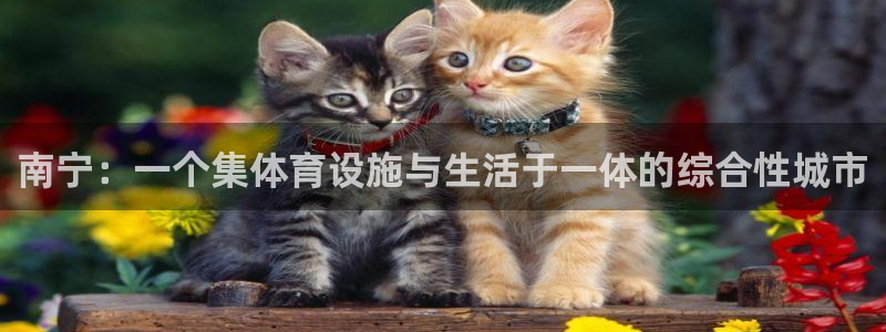 意昂体育4招商电话地址