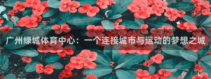 注册意昂4：广州绿城体育中心：一个连接城市与运动的梦