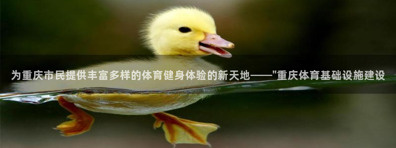 意昂4集团官网首页：为重庆市民提供丰富多样的体育健身