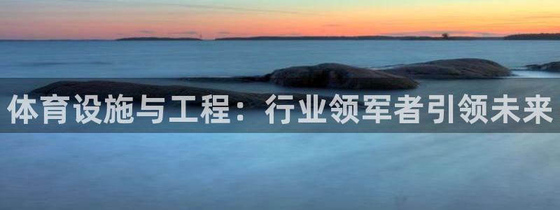 意昂4集团E.ON：体育设施与工程：行业领军者引领未