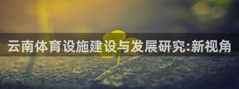 海南意昂体育4：云南体育设施建设与发展研究:新视角