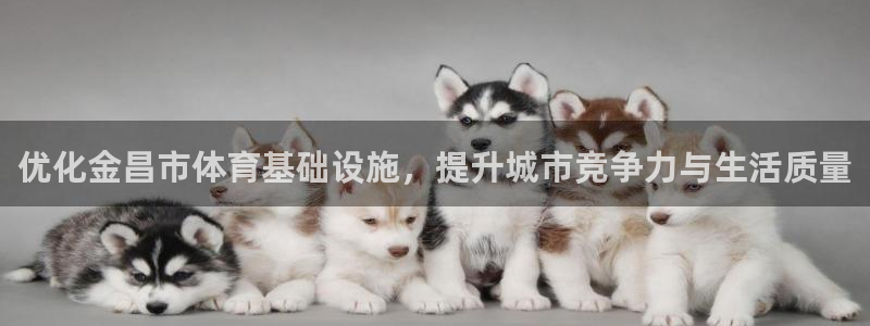 意昂体育4招商电话地址查询：优化金昌市体育基础设施，