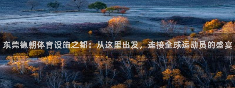 意昂体育4招商电话号码是多少号：东莞德朝体育设施之都：从这里