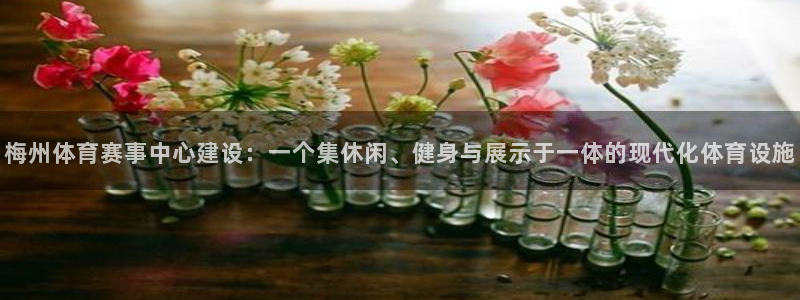 注册意昂4：梅州体育赛事中心建设：一个集休闲、健身与展示于一 