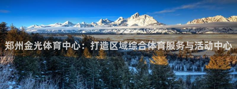 意昂4集团：郑州金光体育中心：打造区域综合体育服务与活动中心