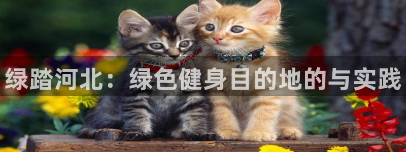 意昂体育4娱乐：绿踏河北：绿色健身目的地的与实践