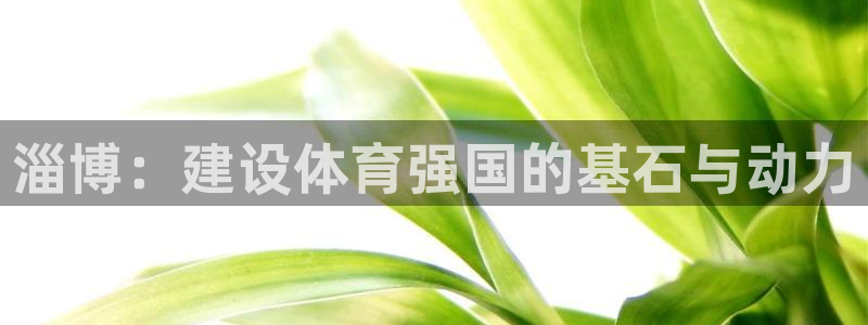 意昂体育4平台假的吗是真的吗吗：淄博：建设体育强国的
