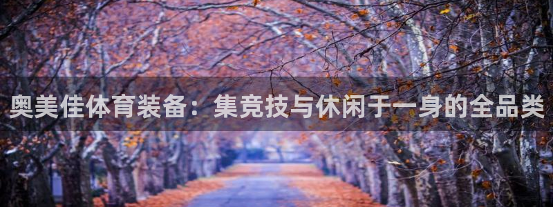 意昂体育4平台是正规平台吗安全吗：奥美佳体育装备：集