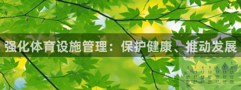 海南意昂体育4：强化体育设施管理：保护健康、推动发展