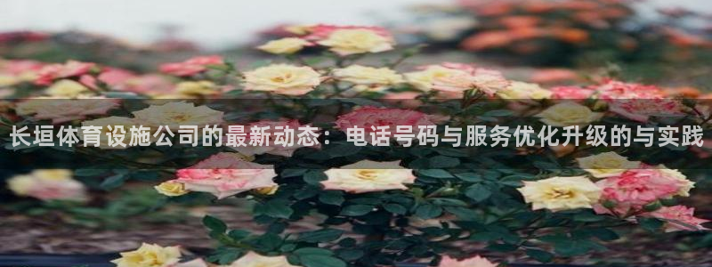 意昂4娱乐网站：长垣体育设施公司的最新动态：电话号码