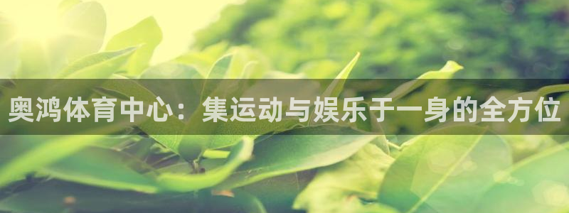 意昂体育4是干嘛的公司：奥鸿体育中心：集运动与娱乐于一身的全