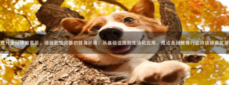 意昂体育4平台是正规平台吗知乎：提升全民体育素质，建设更加完