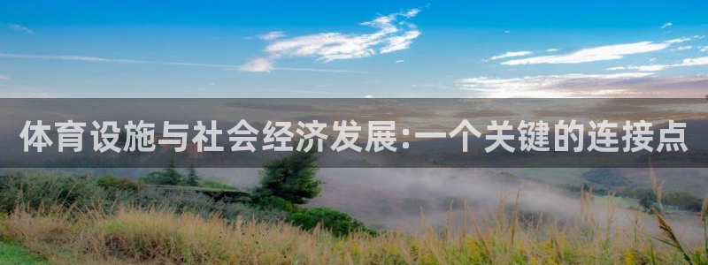 意昂4娱乐首页网站大全：体育设施与社会经济发展:一个