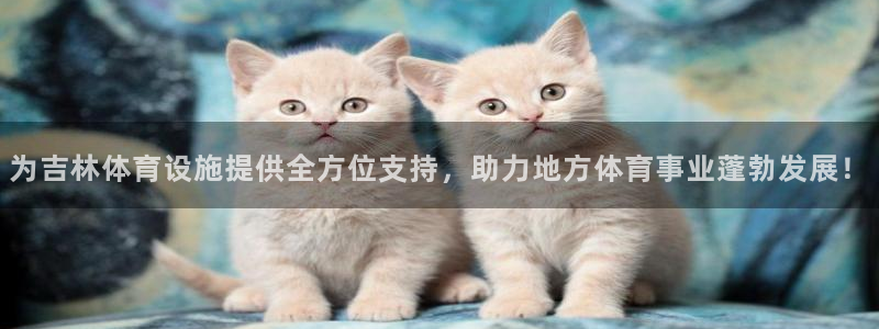 意昂4娱乐首页官网下载：为吉林体育设施提供全方位支持
