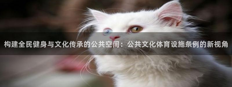 意昂4娱乐40996：构建全民健身与文化传承的公共空间：公共