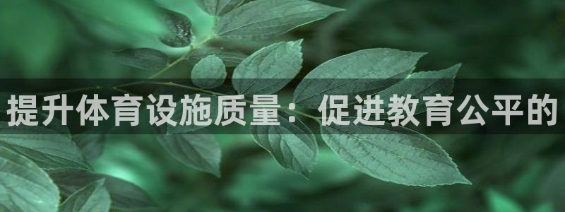 意昂4代理：提升体育设施质量：促进教育公平的