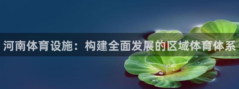 意昂体育4招商：河南体育设施：构建全面发展的区域体育体系