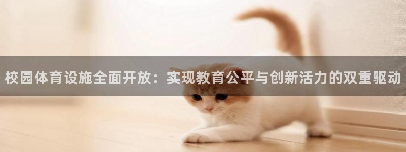 意昂4五金厂：校园体育设施全面开放：实现教育公平与创新活力的