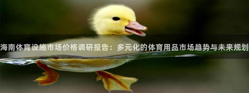 意昂平台体育：海南体育设施市场价格调研报告：多元化的体育用品 